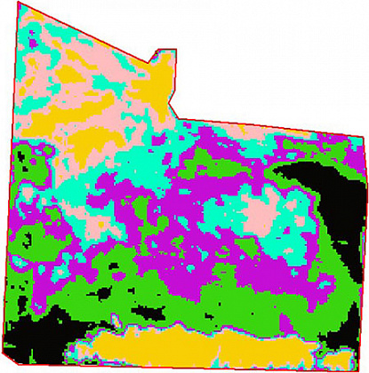 A fragment of the image. Classification by 6 grades.